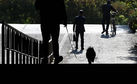23일 오후 서울 영등포구 여의도한강시민공원에서 한 시민이 목줄을 채운 반려견과 산책을 하고 있다. 정부는 최근 반려견이 사람을 물어 사망에 이르게 한 사건 발생을 계기로 반려견 관리 소홀 등에 대한 처벌을 대폭 강화하기로 했다.